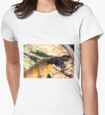 Yellow-Throated Marten Women's Fitted T-Shirt