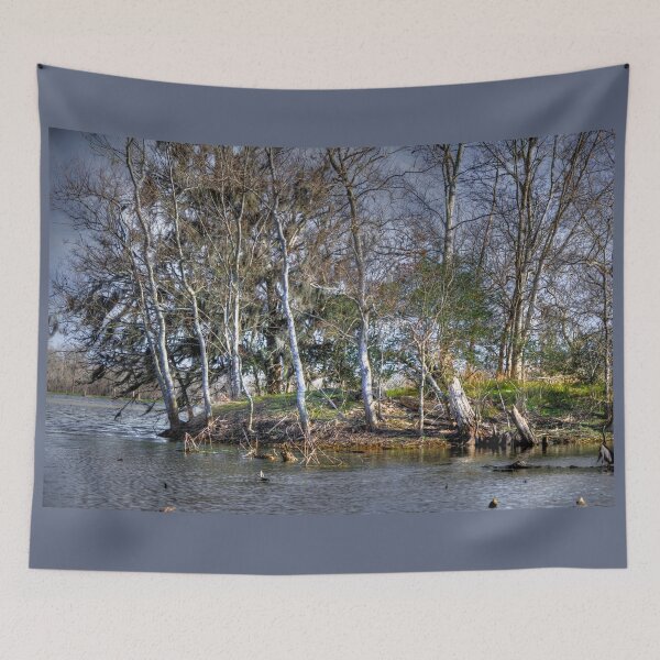 Item preview, Brazos Bend designed and sold by Savannah Gibbs.