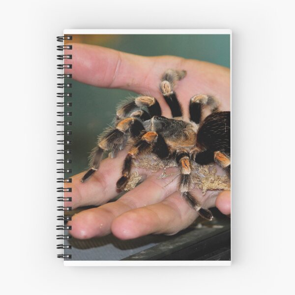Item preview, Tarantula Yikes designed and sold by Larry Trupp.