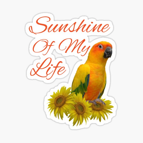 Sun Conure Parrot Sunshine Sunflower Sticker