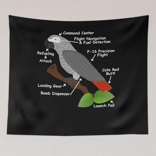 Item preview, Anatomy of an African Grey Parrot graphic designed and sold by einsteinparrot.