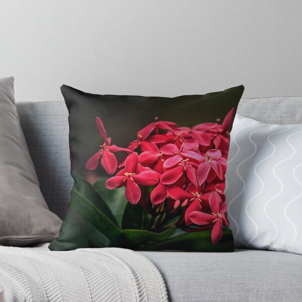 Item preview, Red Ashoka Flowers designed and sold by Charuhas  Images.