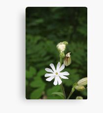secluded Canvas Print