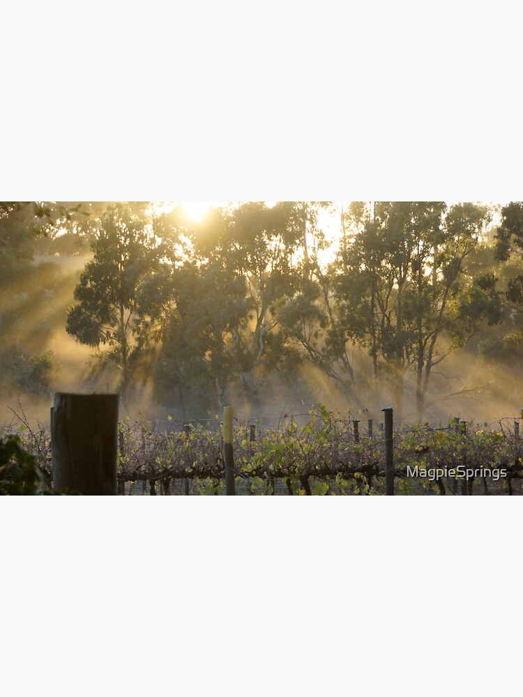 Thumbnail 3 of 3, Sticker, Magpie Springs Autumn Sunrise - by Avril Thomas designed and sold by MagpieSprings.