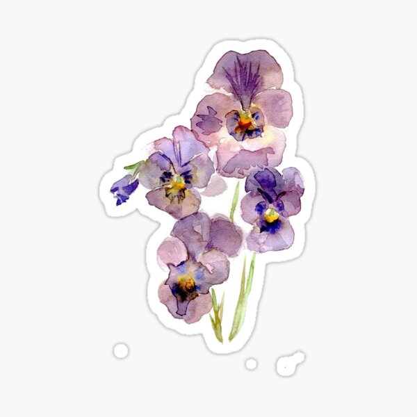 Item preview, pressed pansy designed and sold by mlstoutl.