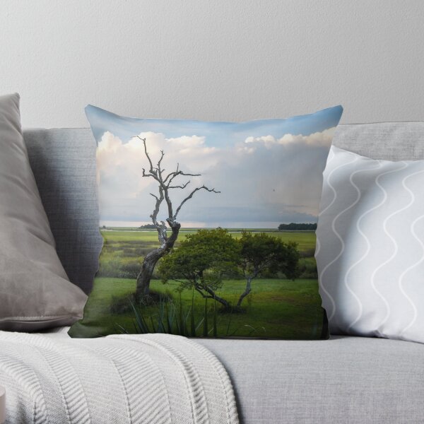 Tibwin Throw Pillow