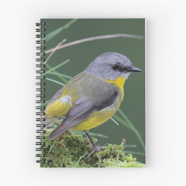Aperçu de l'œuvre Robin jaune créée et vendue par Seesee.