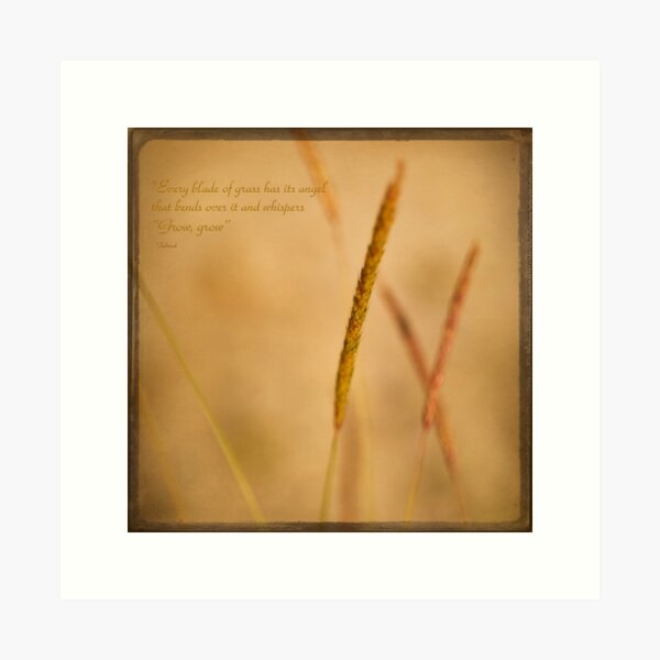Item preview, "Every blade of grass has its angel that bends over it and whispers “Grow, grow” designed and sold by Priska Wettstein.
