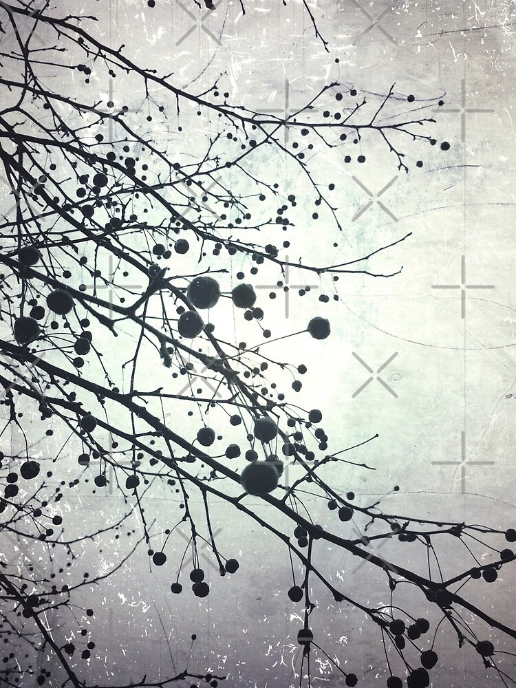 Silver Sky Photo Art - Bare Tree in Winter - Black and White Nature Art by OneDayArt