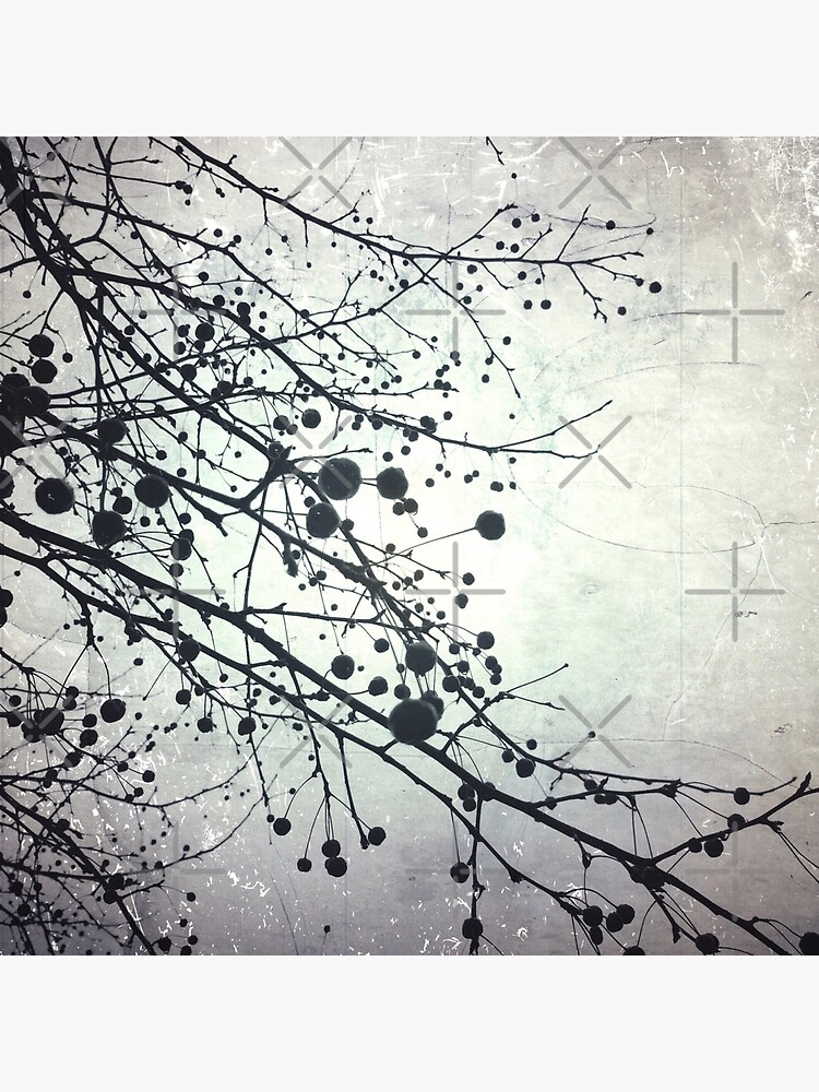 Silver Sky Photo Art - Bare Tree in Winter - Black and White Nature Art by OneDayArt