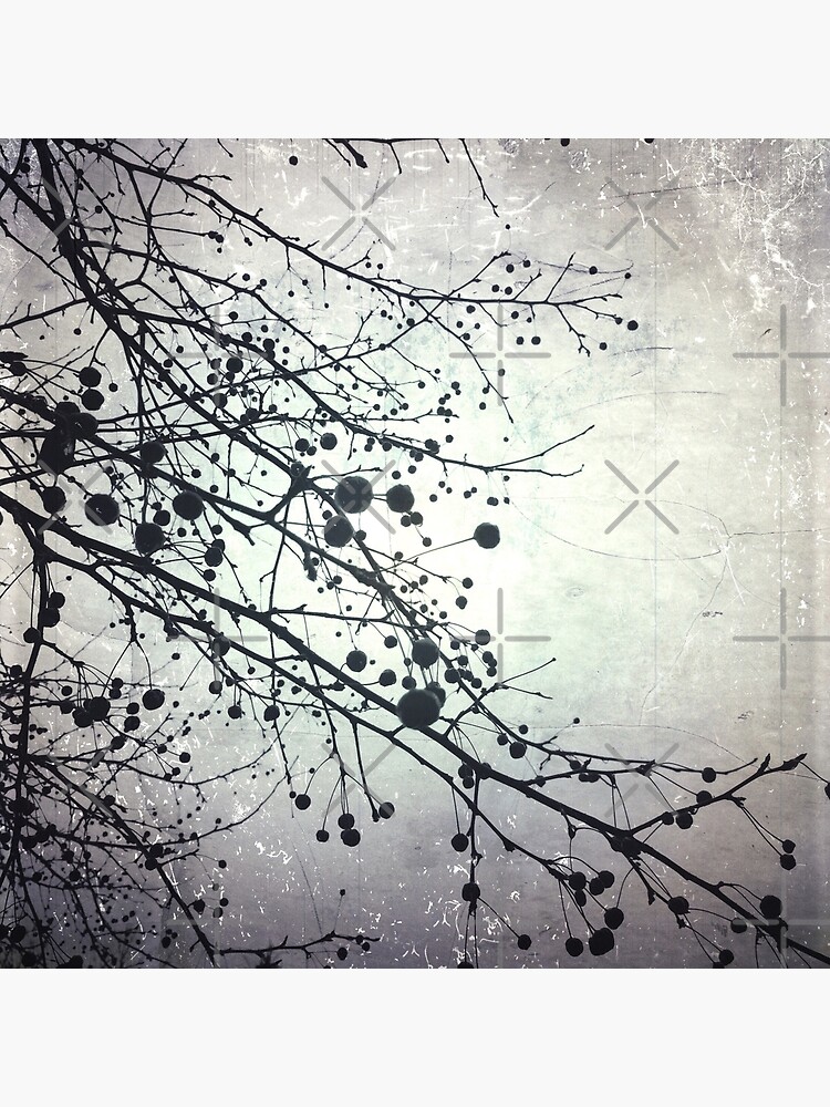 Silver Sky Photo Art - Bare Tree in Winter - Black and White Nature Art by OneDayArt