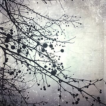 Artwork thumbnail, Silver Sky Photo Art - Bare Tree in Winter - Black and White Nature Art by OneDayArt