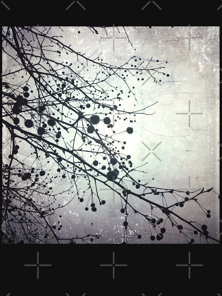 Silver Sky Photo Art - Bare Tree in Winter - Black and White Nature Art by OneDayArt