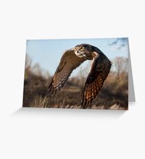 Flight of the Eagle Owl Greeting Card