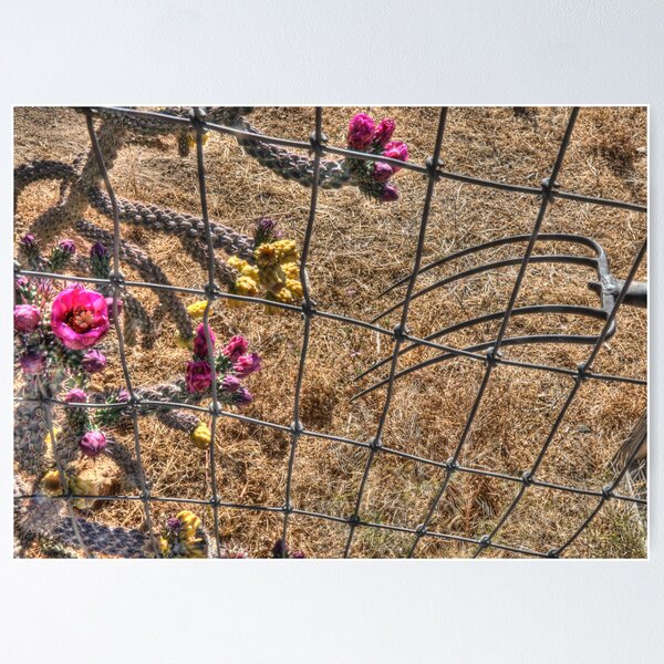 Item preview, Prong Missing Cactus Flower designed and sold by Herman Hodges.
