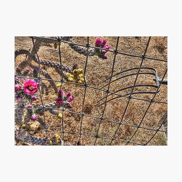 Item preview, Prong Missing Cactus Flower designed and sold by Herman Hodges.