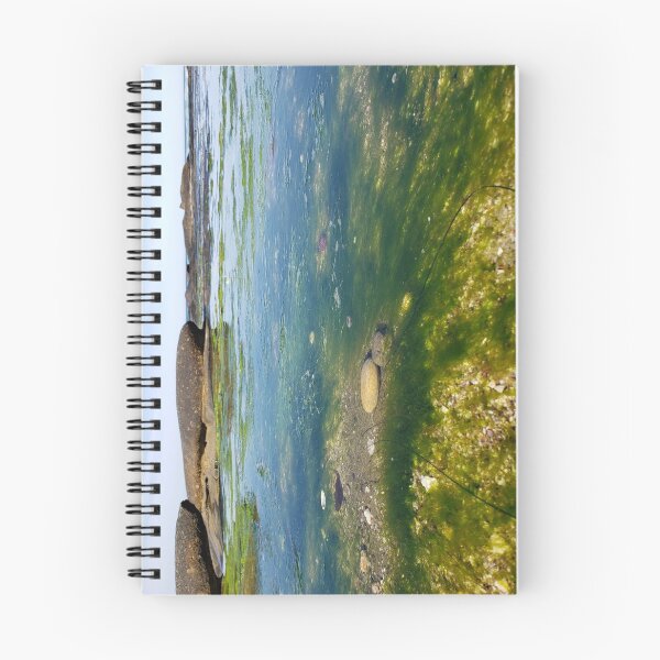 Item preview, Seaweed designed and sold by PicsByDerek.