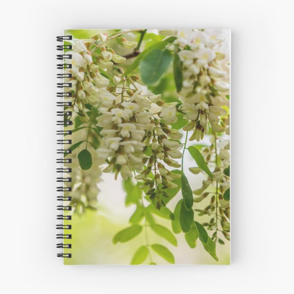 Item preview, Black Locust Tree designed and sold by JohnDSmith.