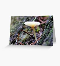 Mt. Rainier Mushroom Greeting Card