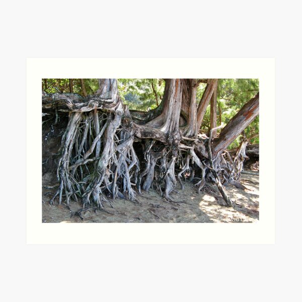 The Root of It Art Print