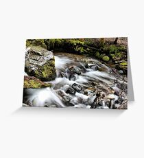 Rainier Trail Waterfall Greeting Card
