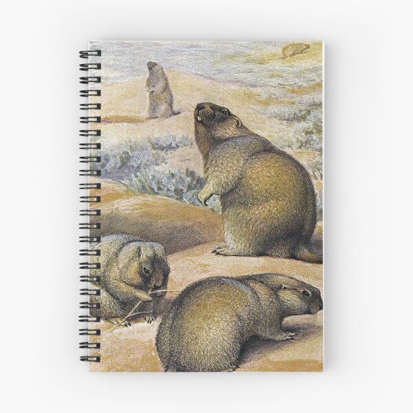 Item preview, Painting of The bobak marmot designed and sold by marmur.