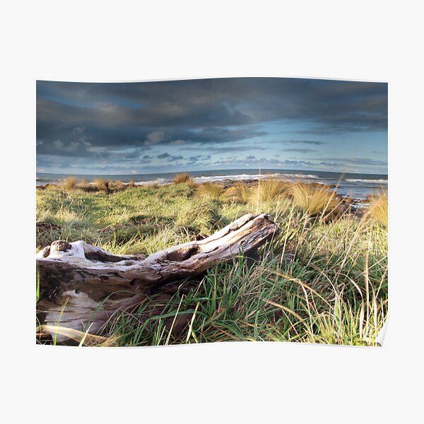 Down By The Sea Poster