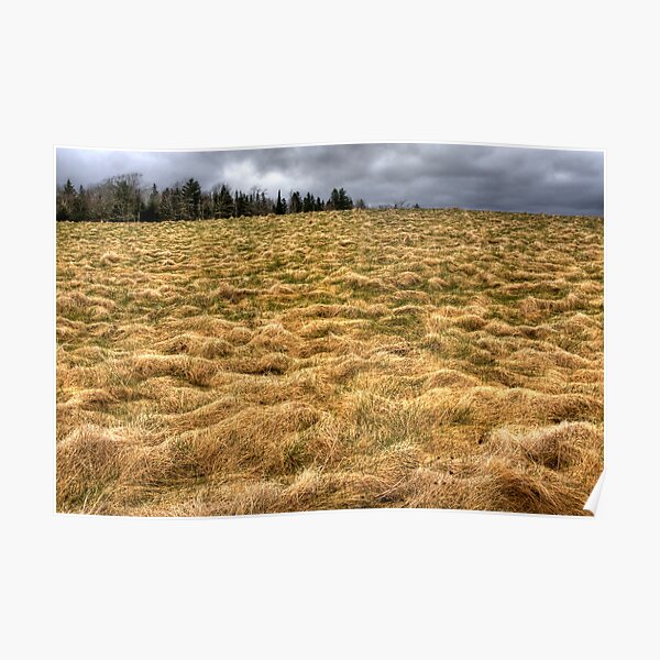 The Field Poster