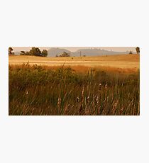 Semi Rural Photographic Print