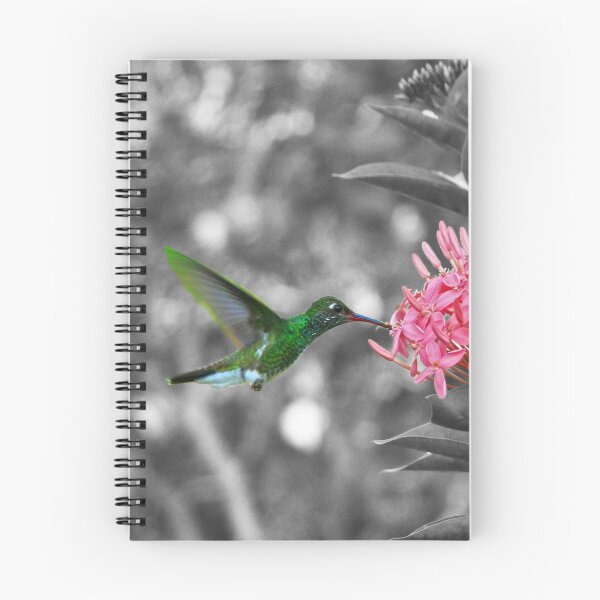 Aperçu de l'œuvre Colibri sur une fleur rose créée et vendue par Follow the Hedgehog.