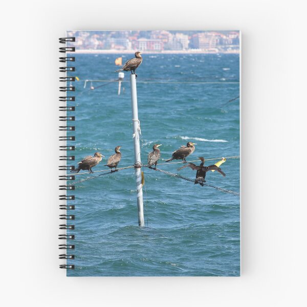 Item preview, Cormorants Black Sea Nessebar Bulgaria designed and sold by goceris.