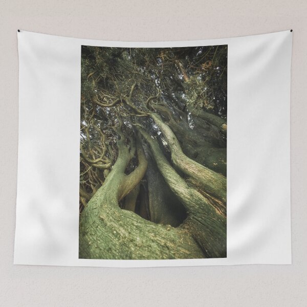 Item preview, Ent tree designed and sold by Michele Brusini.