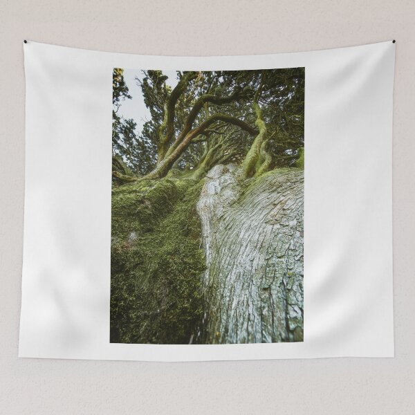 Item preview, Ent tree 3 designed and sold by Michele Brusini.