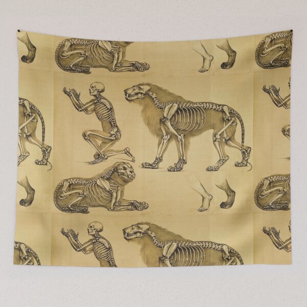 Item preview, The skeletons of man and big cat compared designed and sold by Vintage Designs +.
