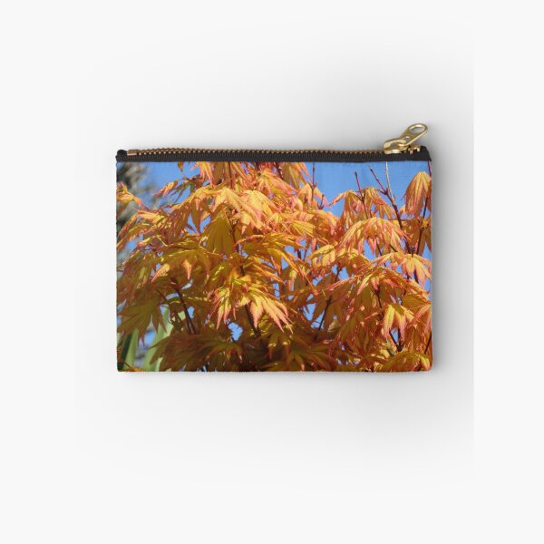 Item preview, Golden Acer (Acer palmatum) designed and sold by lezvee.