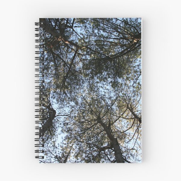 Item preview, Formby Tree Tops designed and sold by LPYLPhotography.