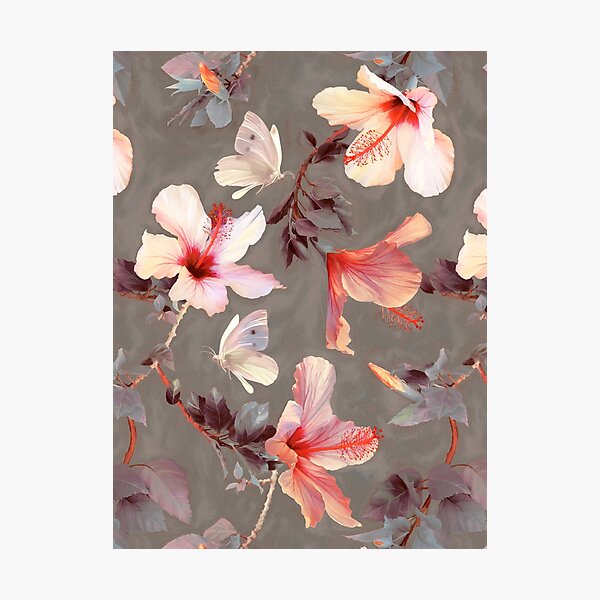 Coral Hibiscus Photographic Print