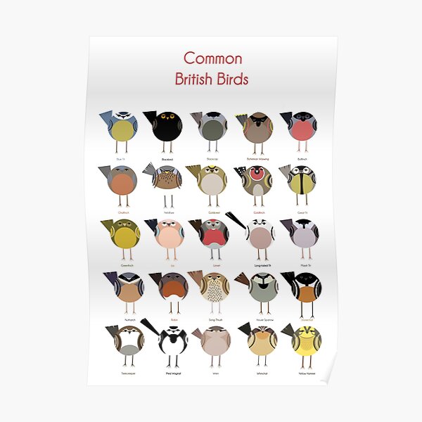 Common British Birds Poster