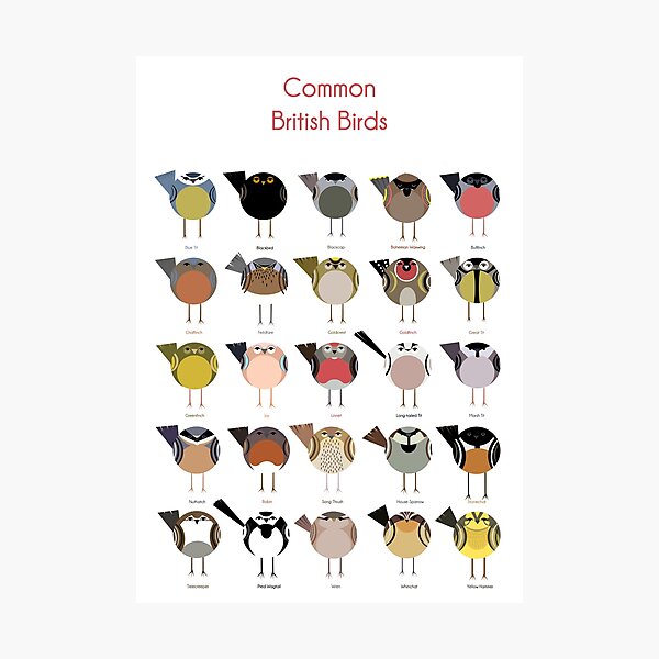 Item preview, Common British Birds designed and sold by Blue906.
