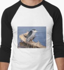 Schwarz gekrönter Nachtreiher Baseballshirt mit 3/4-Arm