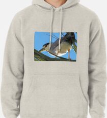 Schwarz gekrönter Nachtreiher Hoodie