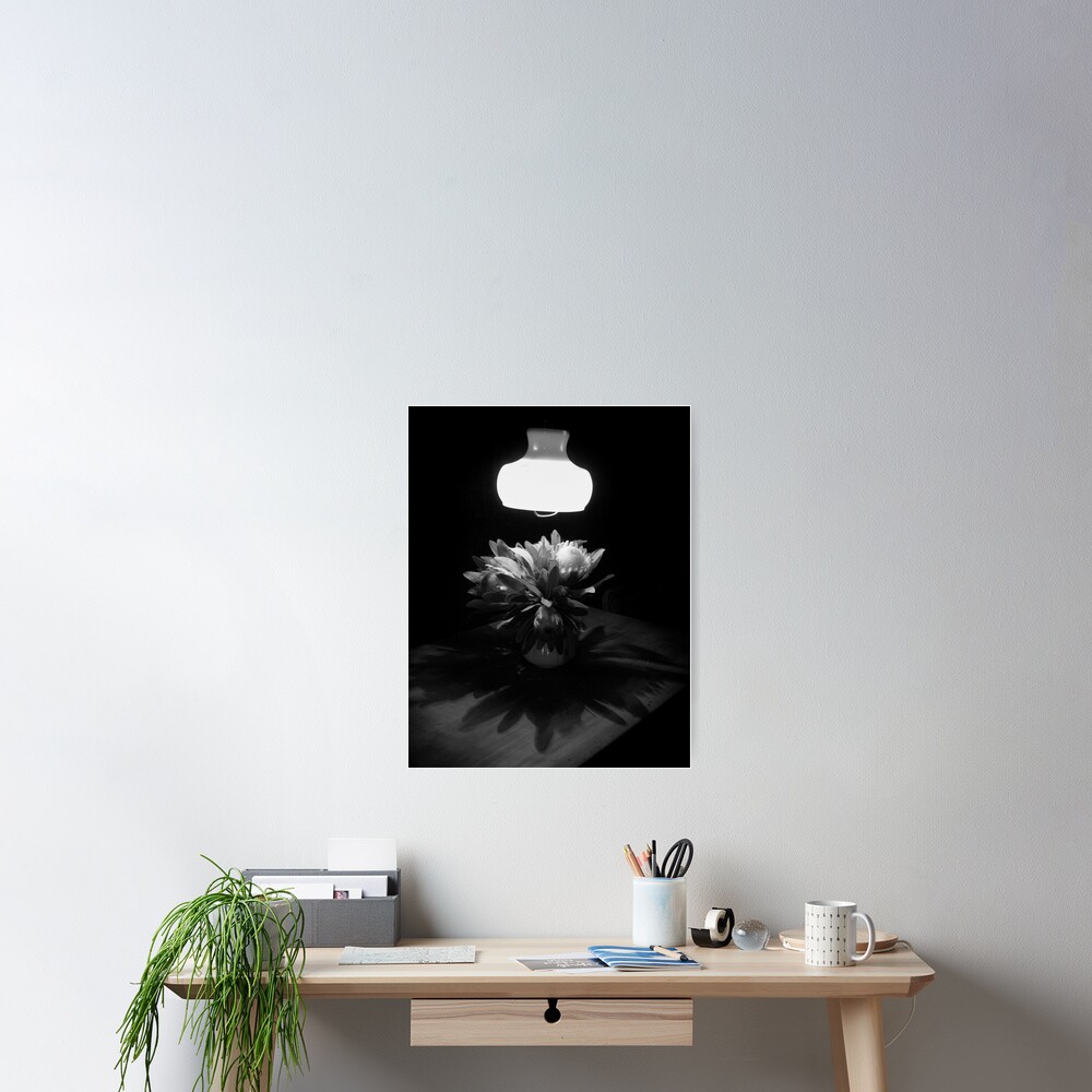 Night Shadows Poster