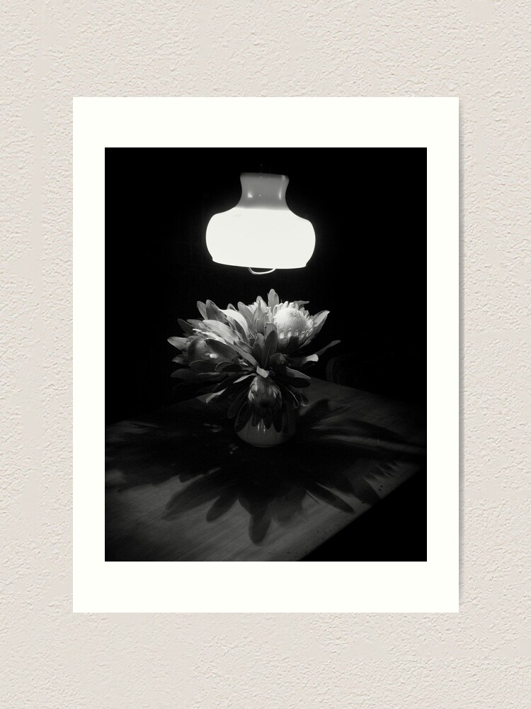 Alternate view of Night Shadows Art Print