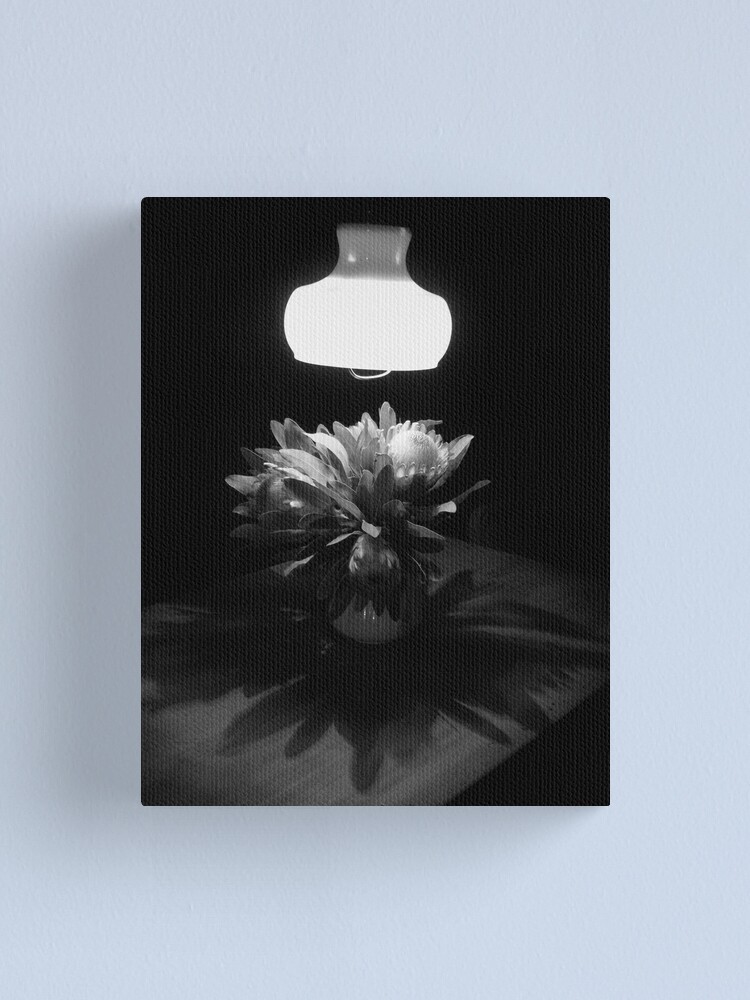 Alternate view of Night Shadows Canvas Print