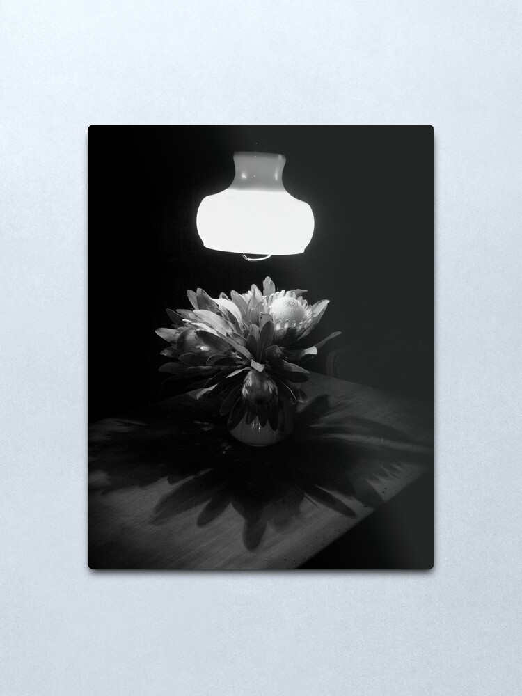 Alternate view of Night Shadows Metal Print