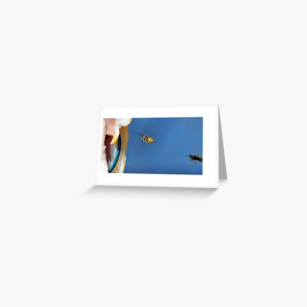Flying Wasp 0009 Greeting Card