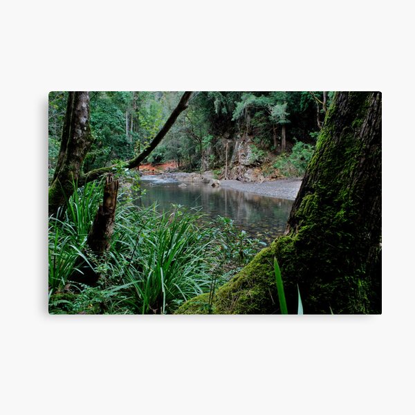 Item preview, Natures Window. designed and sold by Warren  Patten.