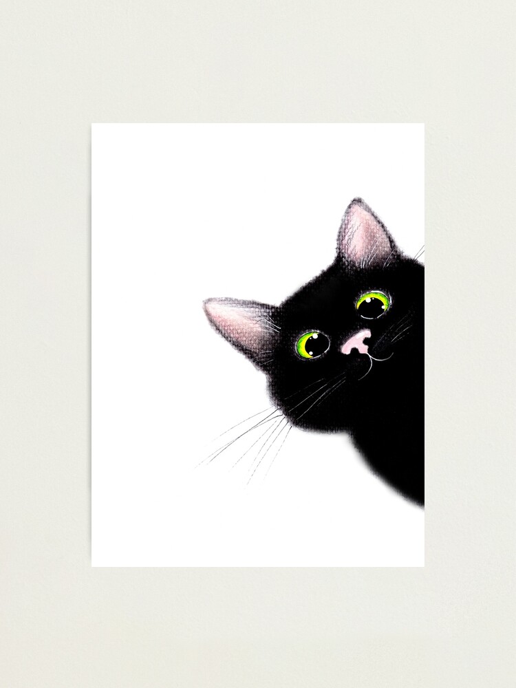 Cat PFP | Photographic Print