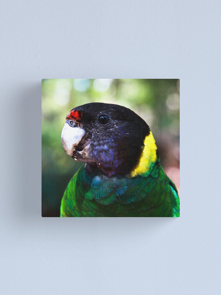 Alternate view of 28 Canvas Print