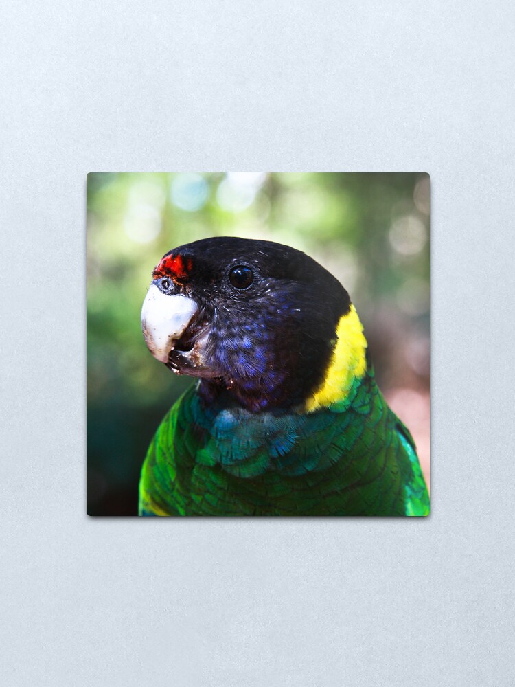 Alternate view of 28 Metal Print